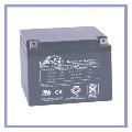 ��ʿ���DJW12-24(12V24AH)